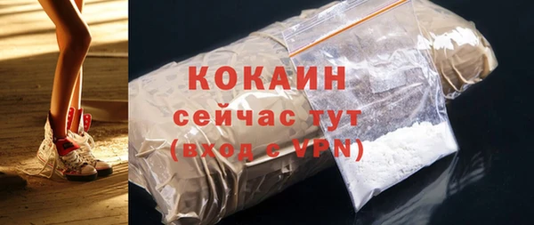 хмурый Верея