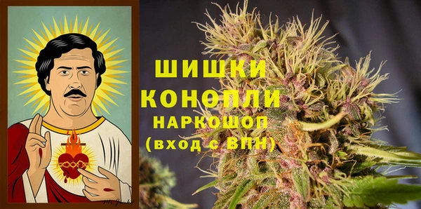 хмурый Верея