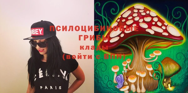 хмурый Верея