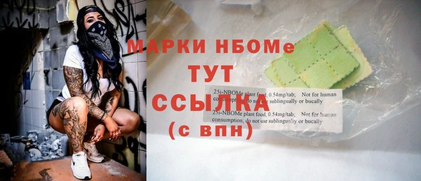 хмурый Верея