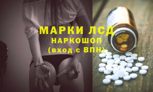 хмурый Верея