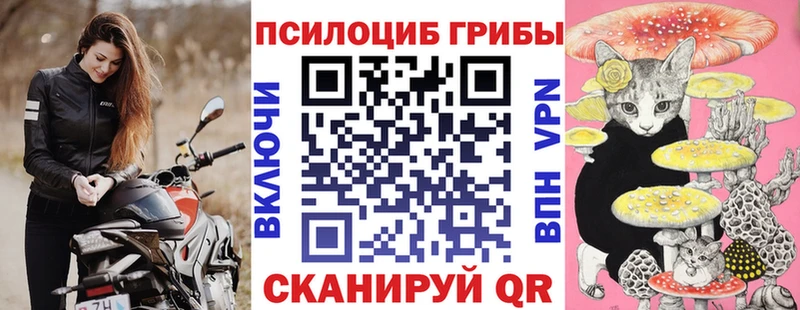 Псилоцибиновые грибы Psilocybe  закладка  Староминская 